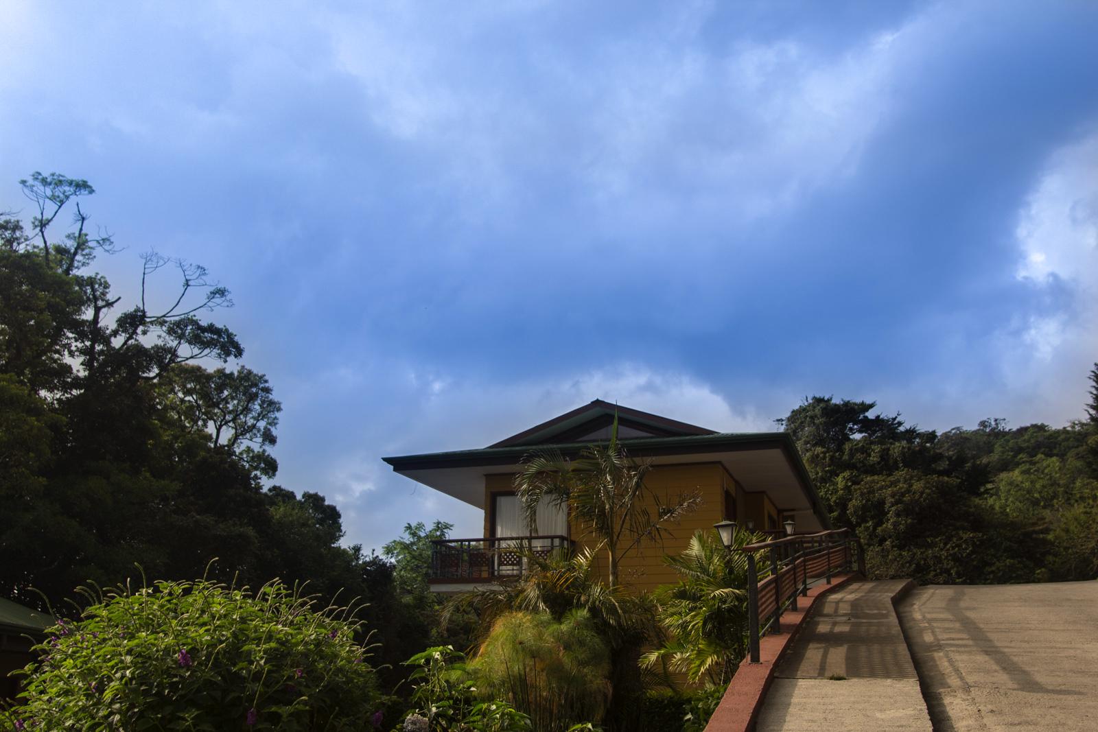 Hotel Ficus - Monteverde Exterior photo