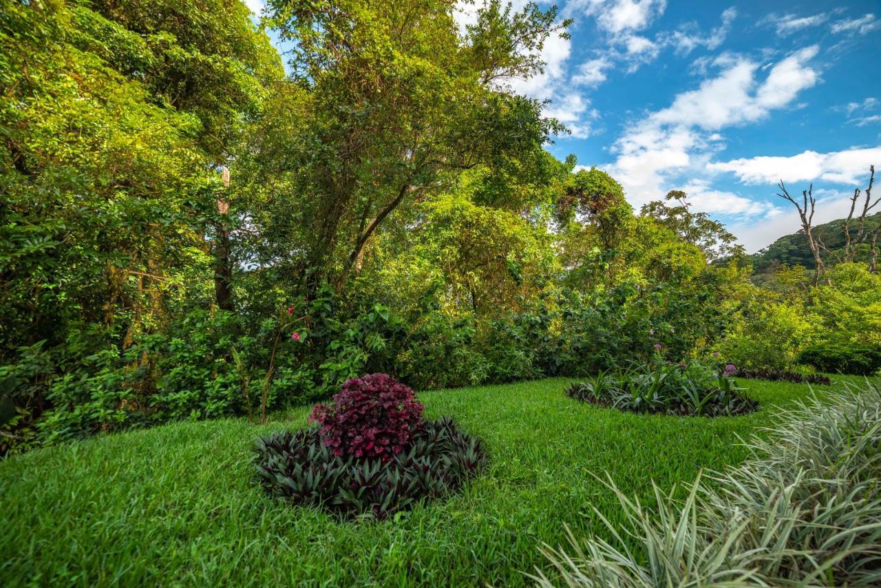 Hotel Ficus - Monteverde Exterior photo